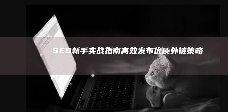 SEO新手实战指南：高效发布优质外链策略